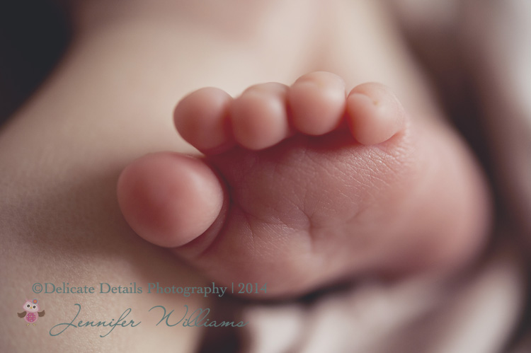 Delicate Details | Atlanta GA newborn Photographer | Toccoa Georgia Newborn Photographer | Maternity | Newborn | Baby | Child | Family | Portraiture | Senior