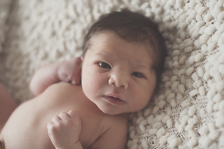 Jennifer Williams | Delicate Details Photography Delicate Details | Atlanta GA newborn Photographer | Toccoa Georgia Newborn Photographer | Maternity | Newborn | Baby | Child | Family | Portraiture | Senior