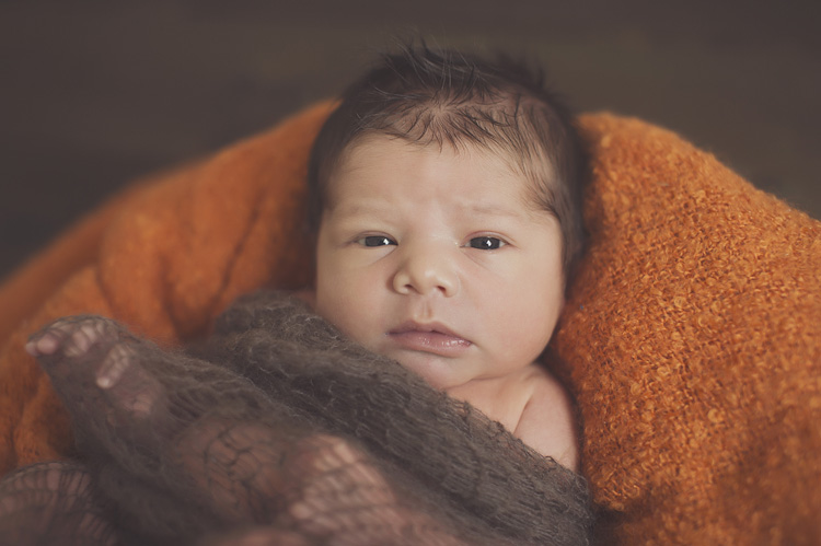 Jennifer Williams | Delicate Details Photography Delicate Details | Atlanta GA newborn Photographer | Toccoa Georgia Newborn Photographer | Maternity | Newborn | Baby | Child | Family | Portraiture | Senior