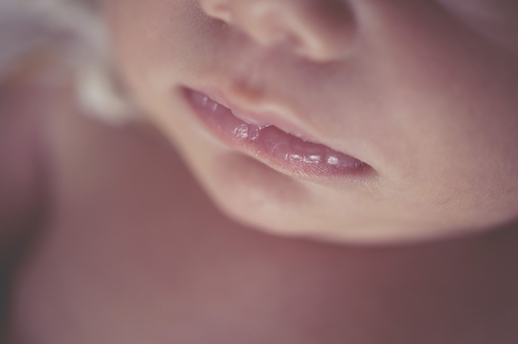 Jennifer Williams | Delicate Details Photography Delicate Details | Atlanta GA newborn Photographer | Toccoa Georgia Newborn Photographer | Maternity | Newborn | Baby | Child | Family | Portraiture | Senior