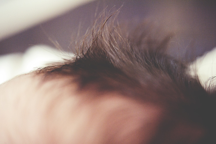 Jennifer Williams | Delicate Details Photography Delicate Details | Atlanta GA newborn Photographer | Toccoa Georgia Newborn Photographer | Maternity | Newborn | Baby | Child | Family | Portraiture | Senior