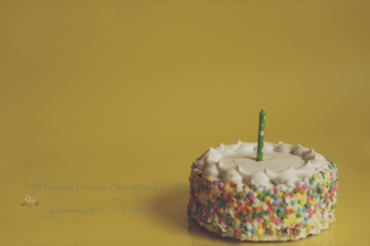 Jennifer Williams | Delicate Details Photography Delicate Details | Atlanta GA newborn Photographer | Toccoa Georgia Newborn Photographer | Maternity | Newborn | Baby | Child | Family | Portraiture | Senior