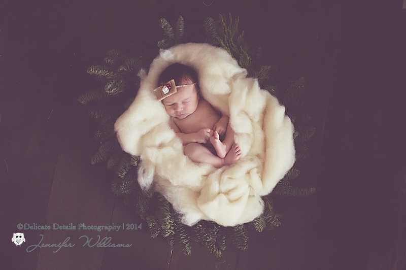 Jennifer Williams, Delicate Details Photography