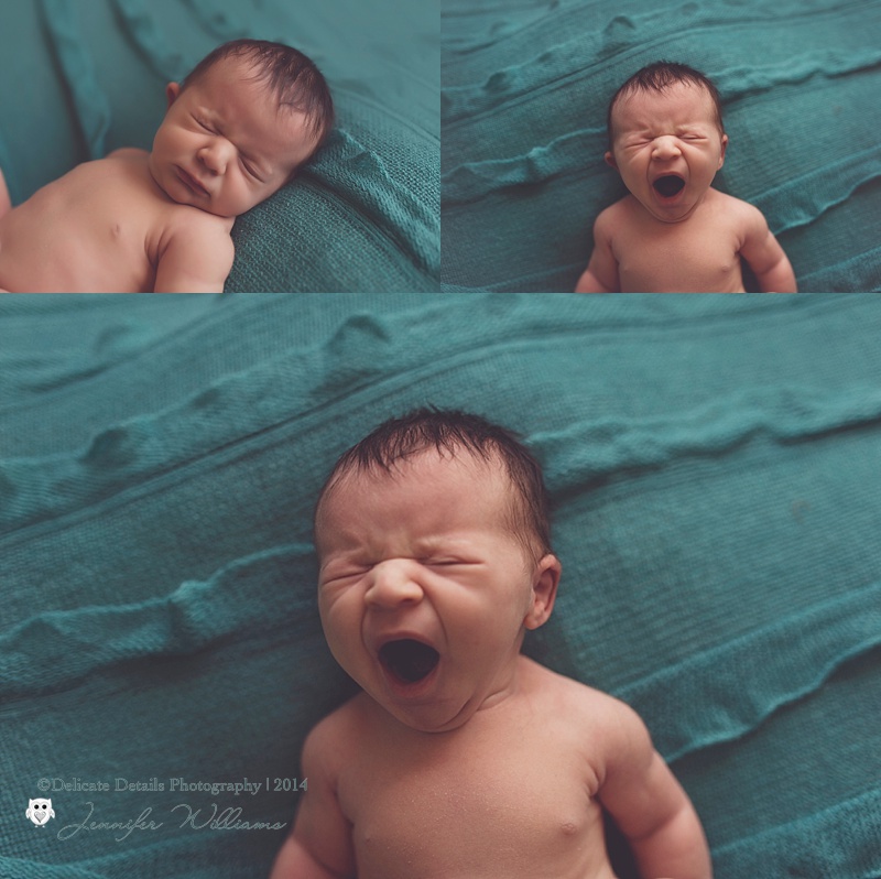 Jennifer Williams, Delicate Details Photography