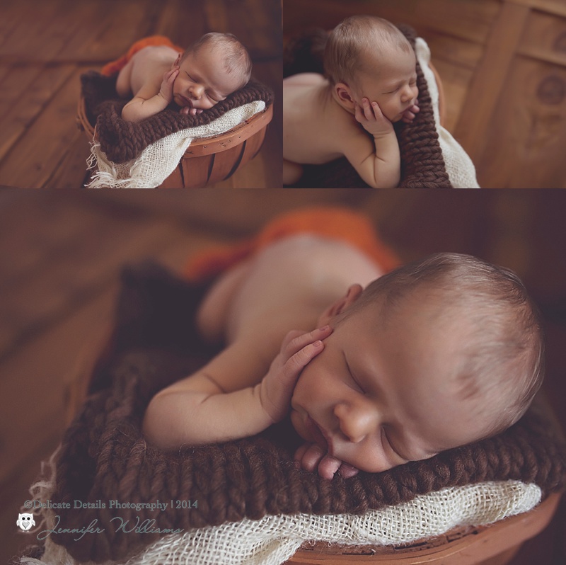 Jennifer Williams , Delicate Details Photography, Toccoa GA