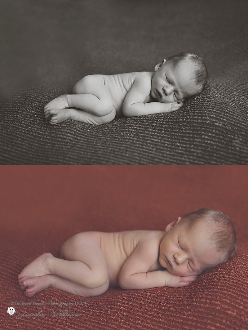 Jennifer Williams , Delicate Details Photography, Toccoa GA