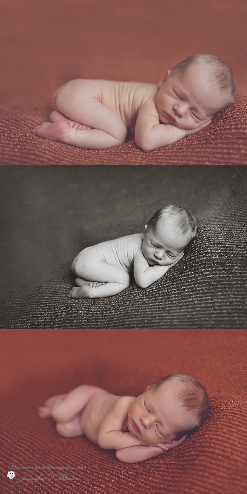 Jennifer Williams , Delicate Details Photography, Toccoa GA