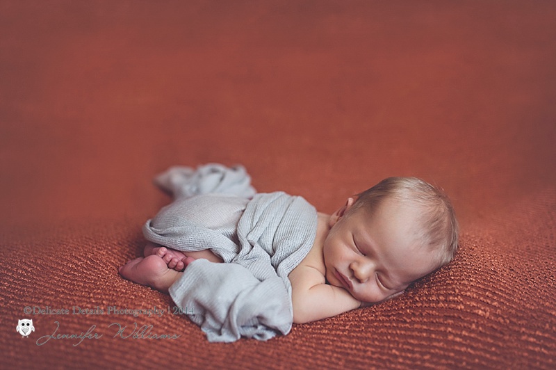 Jennifer Williams , Delicate Details Photography, Toccoa GA