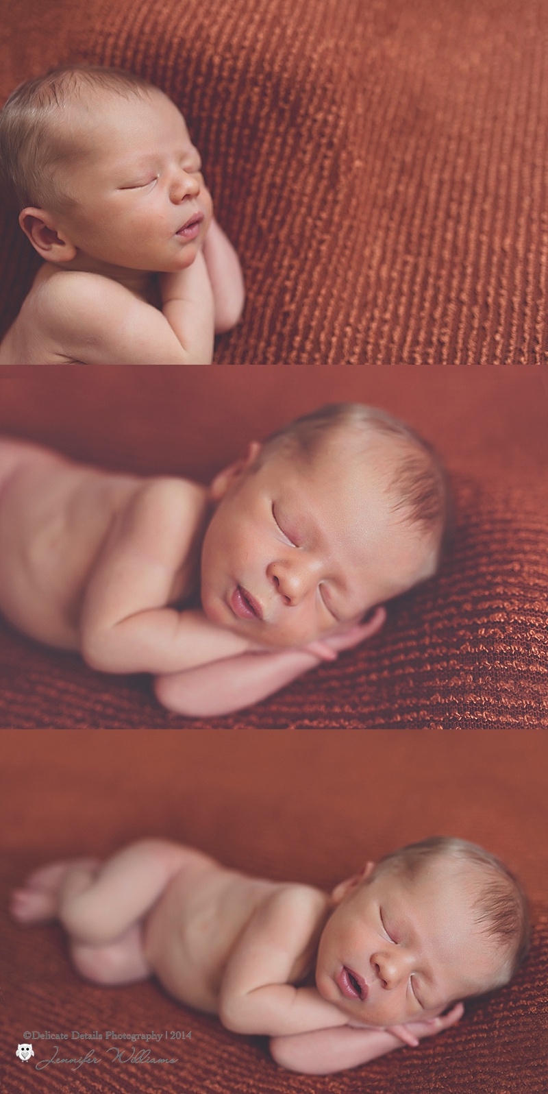 Jennifer Williams , Delicate Details Photography, Toccoa GA