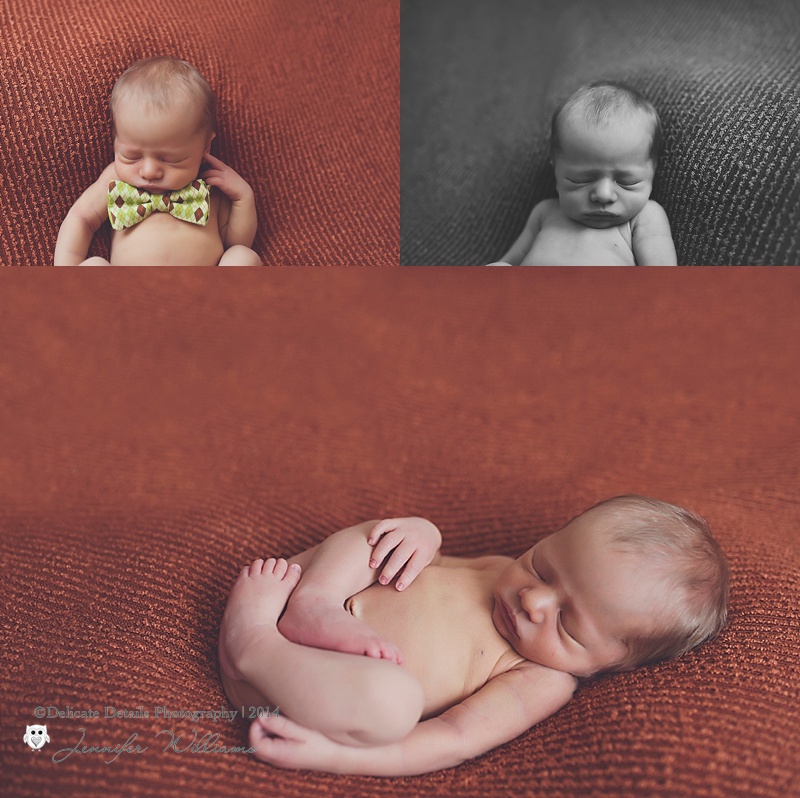 Jennifer Williams , Delicate Details Photography, Toccoa GA