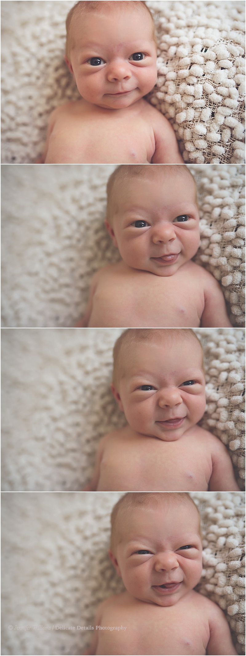 Jennifer Williams | Delicate Details Photography_0085.jpg Jennifer Williams | Delicate Details Photography_0085.jpg