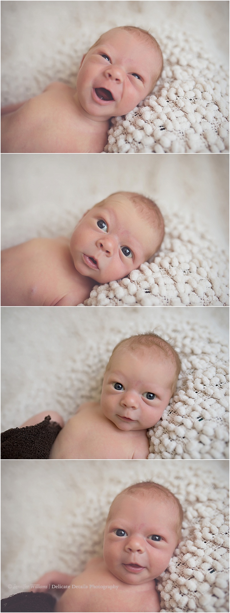 Jennifer Williams | Delicate Details Photography_0087.jpg Jennifer Williams | Delicate Details Photography_0087.jpg