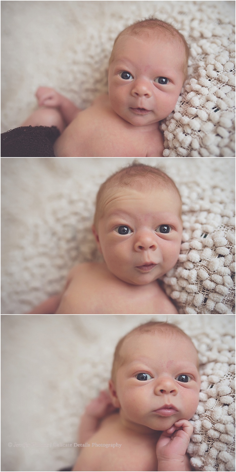 Jennifer Williams | Delicate Details Photography_0088.jpg Jennifer Williams | Delicate Details Photography_0088.jpg