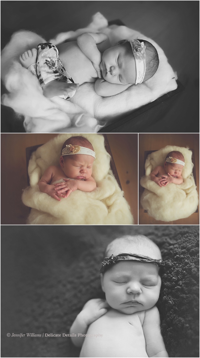 Jennifer Williams | Delicate Details Photography_0249.jpg Jennifer Williams | Delicate Details Photography_0249.jpg