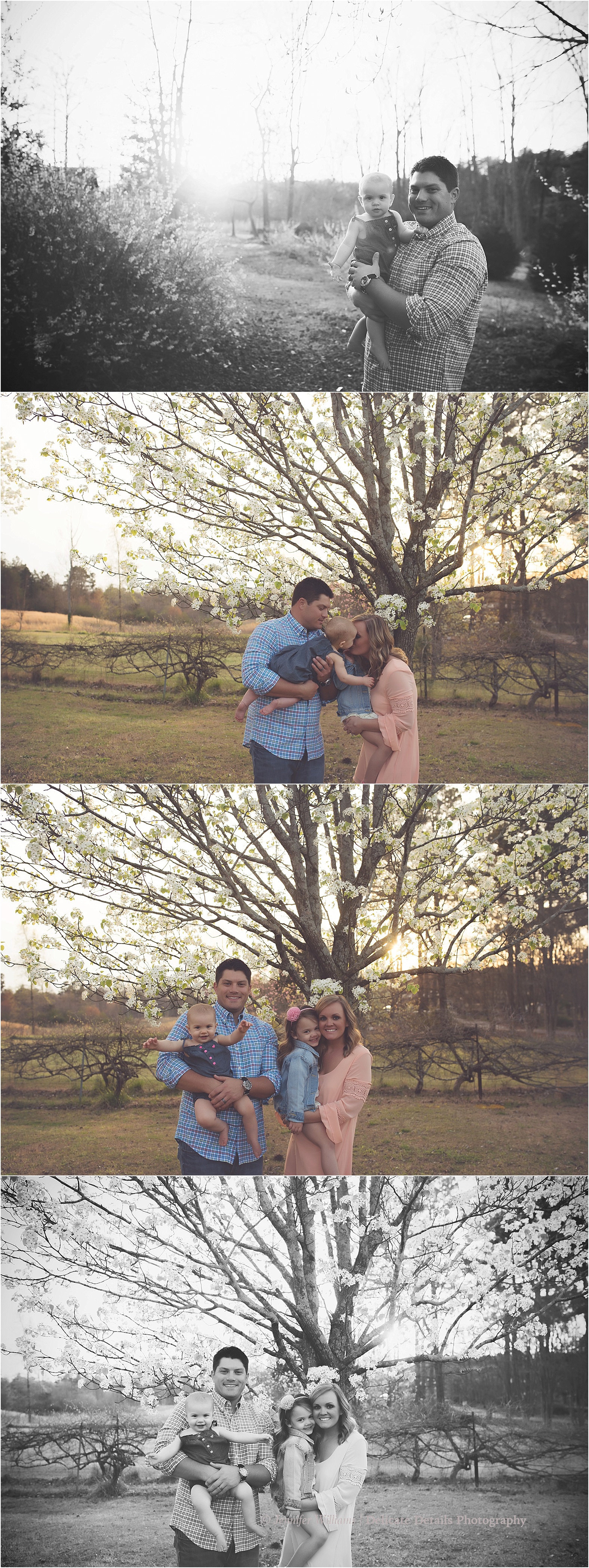 Jennifer Williams | Delicate Details Photography_0301.jpg